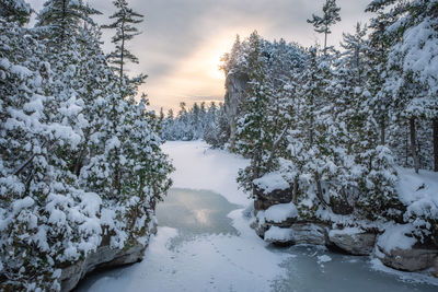 Snow covered lake and trees