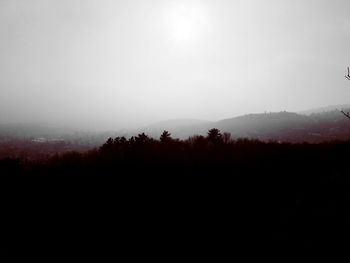 Trees on landscape against sky