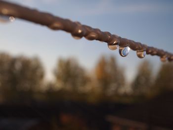 Close-up of water drops on metal against sky