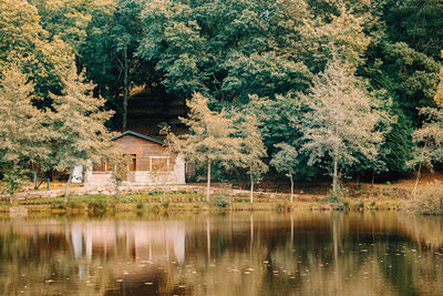 Trees by lake against building