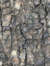 Full frame shot of rocks on wall