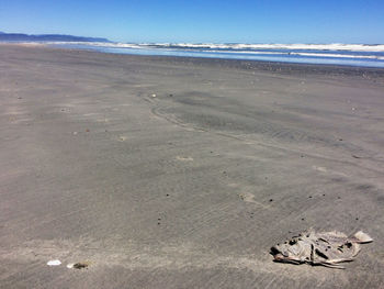 Scenic view of sandy beach