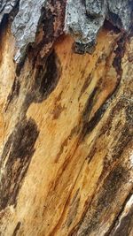 Full frame shot of rock