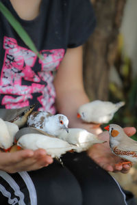 Midsection of woman holding bird