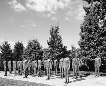 Trees growing against sky