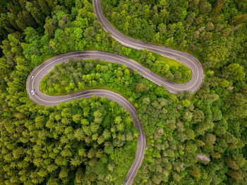 High angle view of highway amidst trees in city