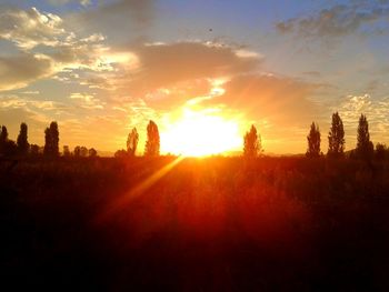 Silhouette trees against sky during sunset