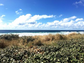 Scenic view of sea against sky