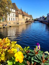 Scenic view of river by buildings against sky