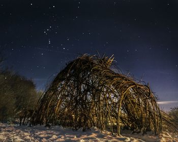 Trees against sky at night during winter