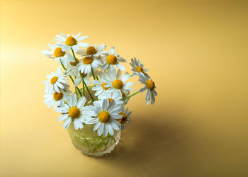 Close-up of flowers blooming outdoors