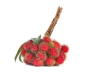 High angle view of berries against white background