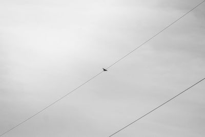 Low angle view of overhead cable car against sky