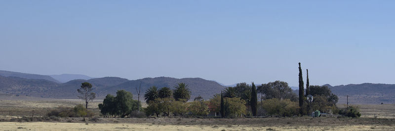 Trees on field against clear sky