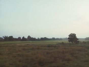 Scenic view of field against clear sky