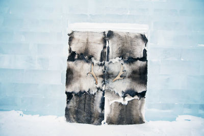 Reindeer skin on ice door