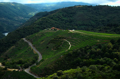 High angle view of agricultural landscape