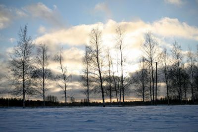 Bare trees against cloudy sky