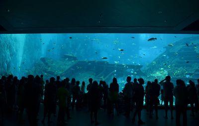 People visiting aquarium