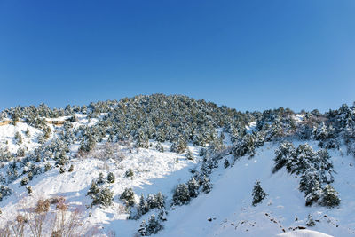 Tian shan mountain system in winter in uzbekistan. winter sunny day