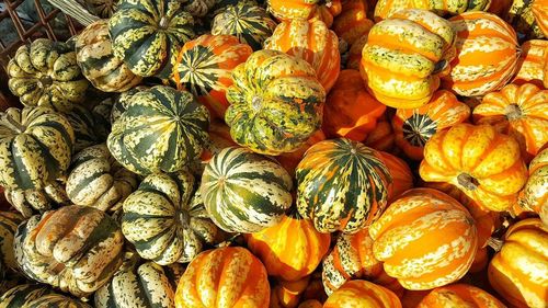 Full frame shot of pumpkins