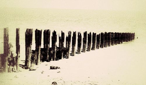 Wooden posts in the dark