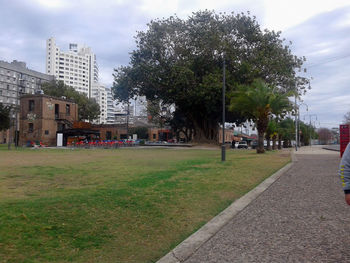 Trees in town against sky