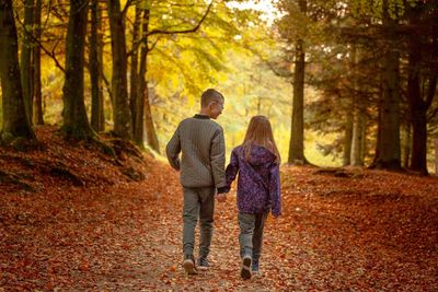 Rear view of two women walking in forest