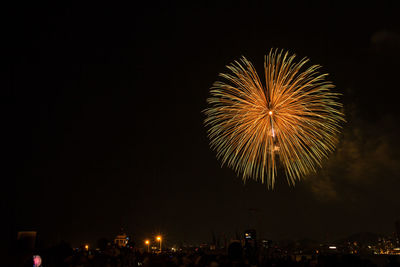 Low angle view of firework display at night
