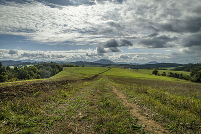 Scenic view of agricultural field against sky