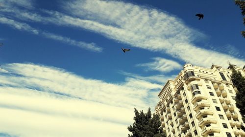 Low angle view of bird flying over building