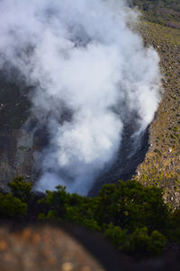 Mount gede pangrango national park, west java