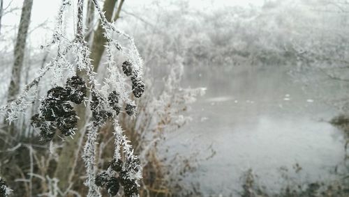 Close-up of water against sky