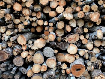 Full frame shot of logs