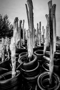 Panoramic view of wooden posts on field against sky