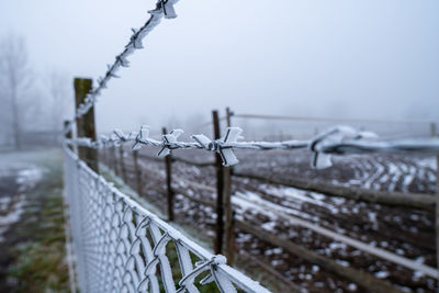 Close-up of barbed wire fence during winter