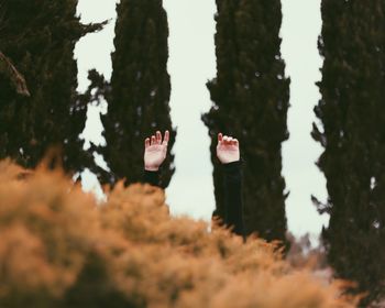 Cropped hands against plants