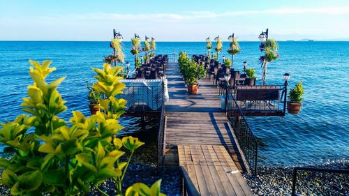 Plants growing on pier by sea against sky