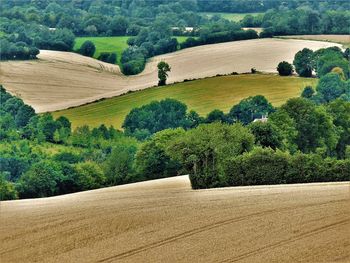 Scenic view of farm