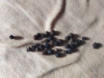 High angle view of berries on table