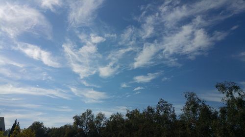 Low angle view of trees against cloudy sky