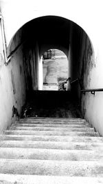 Steps leading towards tunnel