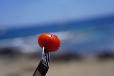 Close-up of orange fruit on land against sky