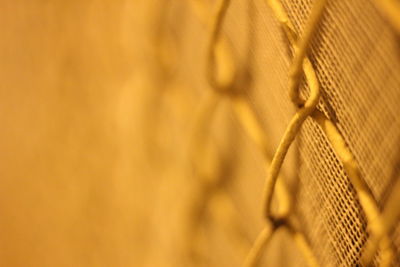 Close-up of chainlink fence