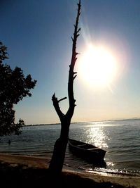 Scenic view of sea at sunset