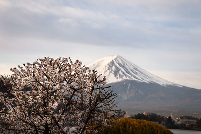 Scenic view of snow covered mountain against sky