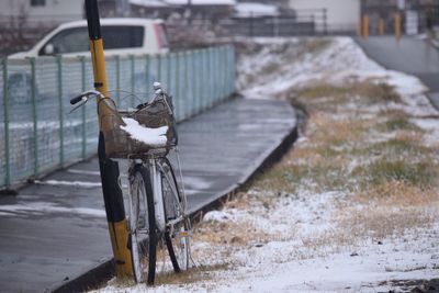 Bird perching on snow during winter