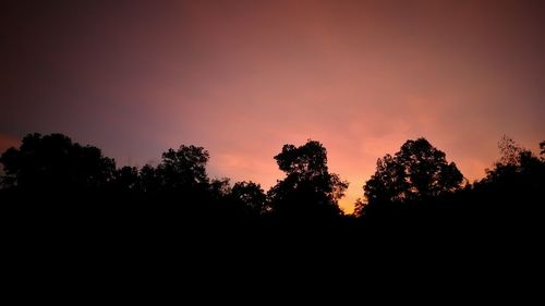 Silhouette trees against sky during sunset