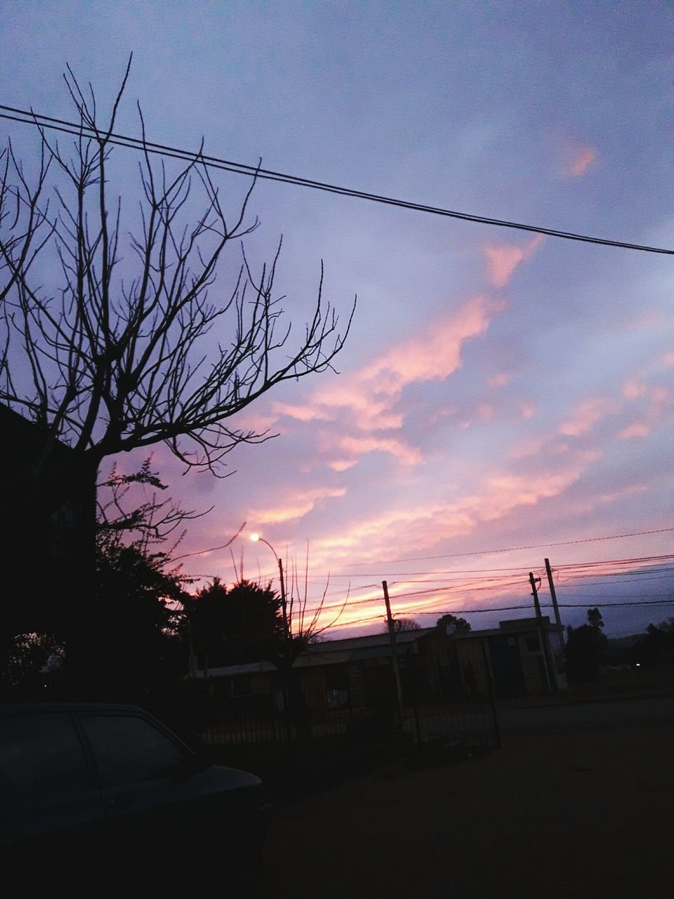 sunset, sky, silhouette, nature, beauty in nature, cloud - sky, no people, tree, scenics, outdoors, day