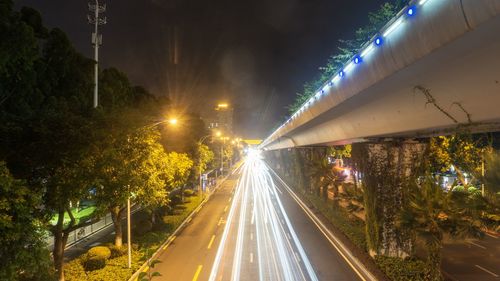Light trails on road amidst trees at night